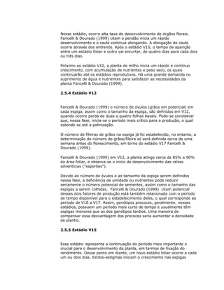 Nesse estádio, ocorre alta taxa de desenvolvimento de órgãos florais.
Fancelli & Dourado (1999) citam o pendão inicia um rápido
desenvolvimento e o caule continua alongando. A elongação do caule
ocorre através dos entrenós. Após o estádio V10, o tempo de aparição
entre um estádio foliar e outro vai encurtar, de quatro dias para cada dois
ou três dias.
Próximo ao estádio V10, a planta de milho inicia um rápido e contínuo
crescimento, com acumulação de nutrientes e peso seco, os quais
continuarão até os estádios reprodutivos. Há uma grande demanda no
suprimento de água e nutrientes para satisfazer as necessidades da
planta Fancelli & Dourado (1999).
2.5.4 Estádio V12

Fancelli & Dourado (1999) o número de óvulos (grãos em potencial) em
cada espiga, assim como o tamanho da espiga, são definidos em V12,
quando ocorre perda de duas a quatro folhas basais. Pode-se considerar
que, nessa fase, inicia-se o período mais crítico para a produção, o qual
estende-se até a polinização.
O número de fileiras de grãos na espiga já foi estabelecido, no entanto, a
determinação do número de grãos/fileira só será definida cerca de uma
semana antes do florescimento, em torno do estádio V17 Fancelli &
Dourado (1999).
Fancelli & Dourado (1999) em V12, a planta atinge cerca de 85% a 90%
da área foliar, e observa-se o início de desenvolvimento das raízes
adventícias ("esporões").
Devido ao número de óvulos e ao tamanho da espiga serem definidos
nessa fase, a deficiência de umidade ou nutrientes pode reduzir
seriamente o número potencial de sementes, assim como o tamanho das
espigas a serem colhidas. Fancelli & Dourado (1999) citam potencial
desses dois fatores de produção está também relacionado com o período
de tempo disponível para o estabelecimento deles, o qual corresponde ao
período de V10 a V17. Assim, genótipos precoces, geralmente, nesses
estádios, possuem um período mais curto de tempo e usualmente têm
espigas menores que as dos genótipos tardios. Uma maneira de
compensar essa desvantagem dos precoces seria aumentar a densidade
de plantio.
2.5.5 Estádio V15

Esse estádio representa a continuação do período mais importante e
crucial para o desenvolvimento da planta, em termos de fixação do
rendimento. Desse ponto em diante, um novo estádio foliar ocorre a cada
um ou dois dias. Estilos-estigmas iniciam o crescimento nas espigas

 