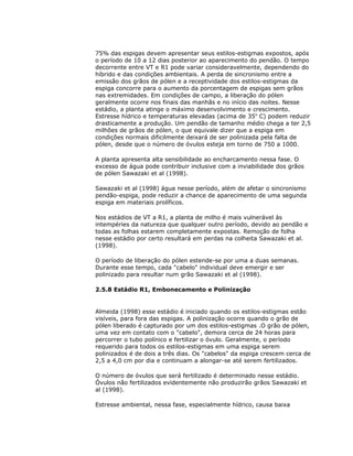 75% das espigas devem apresentar seus estilos-estigmas expostos, após
o período de 10 a 12 dias posterior ao aparecimento do pendão. O tempo
decorrente entre VT e R1 pode variar consideravelmente, dependendo do
híbrido e das condições ambientais. A perda de sincronismo entre a
emissão dos grãos de pólen e a receptividade dos estilos-estigmas da
espiga concorre para o aumento da porcentagem de espigas sem grãos
nas extremidades. Em condições de campo, a liberação do pólen
geralmente ocorre nos finais das manhãs e no início das noites. Nesse
estádio, a planta atinge o máximo desenvolvimento e crescimento.
Estresse hídrico e temperaturas elevadas (acima de 35o C) podem reduzir
drasticamente a produção. Um pendão de tamanho médio chega a ter 2,5
milhões de grãos de pólen, o que equivale dizer que a espiga em
condições normais dificilmente deixará de ser polinizada pela falta de
pólen, desde que o número de óvulos esteja em torno de 750 a 1000.
A planta apresenta alta sensibilidade ao encharcamento nessa fase. O
excesso de água pode contribuir inclusive com a inviabilidade dos grãos
de pólen Sawazaki et al (1998).
Sawazaki et al (1998) água nesse período, além de afetar o sincronismo
pendão-espiga, pode reduzir a chance de aparecimento de uma segunda
espiga em materiais prolíficos.
Nos estádios de VT a R1, a planta de milho é mais vulnerável às
intempéries da natureza que qualquer outro período, devido ao pendão e
todas as folhas estarem completamente expostas. Remoção de folha
nesse estádio por certo resultará em perdas na colheita Sawazaki et al.
(1998).
O período de liberação do pólen estende-se por uma a duas semanas.
Durante esse tempo, cada "cabelo" individual deve emergir e ser
polinizado para resultar num grão Sawazaki et al (1998).
2.5.8 Estádio R1, Embonecamento e Polinização

Almeida (1998) esse estádio é iniciado quando os estilos-estigmas estão
visíveis, para fora das espigas. A polinização ocorre quando o grão de
pólen liberado é capturado por um dos estilos-estigmas .O grão de pólen,
uma vez em contato com o "cabelo", demora cerca de 24 horas para
percorrer o tubo polínico e fertilizar o óvulo. Geralmente, o período
requerido para todos os estilos-estigmas em uma espiga serem
polinizados é de dois a três dias. Os "cabelos" da espiga crescem cerca de
2,5 a 4,0 cm por dia e continuam a alongar-se até serem fertilizados.
O número de óvulos que será fertilizado é determinado nesse estádio.
Óvulos não fertilizados evidentemente não produzirão grãos Sawazaki et
al (1998).
Estresse ambiental, nessa fase, especialmente hídrico, causa baixa

 