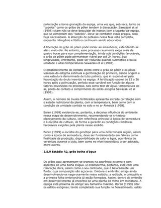 polinização e baixa granação da espiga, uma vez que, sob seca, tanto os
"cabelos" como os grãos de pólen tendem à dissecação. Sawazaki et al
(1998) citam não se deve descuidar de insetos com a lagarta-da-espiga,
que se alimentam dos "cabelos". Deve-se combater essas pragas, caso
haja necessidade. A absorção de potássio nessa fase está completa,
enquanto nitrogênio e fósforo continuam sendo absorvidos.
A liberação do grão de pólen pode iniciar ao amanhecer, estendendo-se
até o meio-dia. No entanto, esse processo raramente exige mais de
quatro horas para sua complementação. Ainda sob condições favoráveis,
o grão de pólen pode permanecer viável por até 24 horas. Sua
longevidade, entretanto, pode ser reduzida quando submetido a baixa
umidade e altas temperaturas Sawazaki et al (1998).
O estabelecimento do contato direto entre o grão de pólen e os pêlos
viscosos do estigma estimula a germinação do primeiro, dando origem a
uma estrutura denominada de tubo polínico, que é responsável pela
fecundação do óvulo inserido na espiga. A fertilização ocorre de 12 a 36
horas após a polinização, período esse variável em função de alguns
fatores envolvidos no processo, tais como teor de água, temperatura do
ar, ponto de contato e comprimento do estilo-estigma Sawazaki et al
(1998).
Assim, o número de óvulos fertilizados apresenta estreita correlação com
o estado nutricional da planta, com a temperatura, bem como com a
condição de umidade contida no solo e no ar Almeida (1998).
Boren (1999) evidencia-se, portanto, a decisiva influência do ambiente
nessa etapa de desenvolvimento, recomendando-se criterioso
planejamento da cultura, com referência principal à época de semeadura
e à escolha da cultivar, de forma a garantir as condições climáticas
favoráveis exigidas pela planta nesse estádio.
Boren (1999) a escolha do genótipo para uma determinada região, assim
como a época de semeadura, deve ser fundamentada em fatores como
finalidade da produção, disponibilidade de calor e água, ocorrência de
veranicos durante o ciclo, bem como no nível tecnológico a ser adotado,
entre outros.
2.5.9 Estádio R2, grão bolha d'água

Os grãos aqui apresentam-se brancos na aparência externa e com
aspectos de uma bolha d'água .O endosperma, portanto, está com uma
coloração clara, assim como o seu conteúdo, que é basicamente um
fluido, cuja composição são açúcares. Embora o embrião, esteja ainda
desenvolvendo-se vagarosamente nesse estádio, a radícula, o coleoptilo e
a primeira folha embrionária já estão formados. Assim, dentro do embrião
em desenvolvimento já encontra-se uma planta de milho em miniatura. A
espiga está próxima de atingir seu tamanho máximo. Boren (1999) citar
os estilos-estigmas, tendo completado sua função no florescimento, estão

 