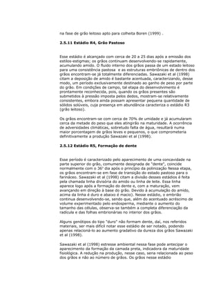 na fase de grão leitoso apto para colheita Boren (1999) .
2.5.11 Estádio R4, Grão Pastoso

Esse estádio é alcançado com cerca de 20 a 25 dias após a emissão dos
estilos-estigmas; os grãos continuam desenvolvendo-se rapidamente,
acumulando amido. O fluido interno dos grãos passa de um estado leitoso
para uma consistência pastosa e as estruturas embriônicas de dentro dos
grãos encontram-se já totalmente diferenciadas. Sawazaki et al (1998)
citam a deposição de amido é bastante acentuada, caracterizando, desse
modo, um período exclusivamente destinado ao ganho de peso por parte
do grão. Em condições de campo, tal etapa do desenvolvimento é
prontamente reconhecida, pois, quando os grãos presentes são
submetidos à pressão imposta pelos dedos, mostram-se relativamente
consistentes, embora ainda possam apresentar pequena quantidade de
sólidos solúveis, cuja presença em abundância caracteriza o estádio R3
(grão leitoso).
Os grãos encontram-se com cerca de 70% de umidade e já acumularam
cerca da metade do peso que eles atingirão na maturidade. A ocorrência
de adversidades climáticas, sobretudo falta de água, resultará numa
maior porcentagem de grãos leves e pequenos, o que comprometeria
definitivamente a produção Sawazaki et al (1998).
2.5.12 Estádio R5, Formação de dente

Esse período é caracterizado pelo aparecimento de uma concavidade na
parte superior do grão, comumente designada de "dente", coincide
normalmente com o 36o dia após o princípio da polinização Nessa etapa,
os grãos encontram-se em fase de transição do estado pastoso para o
farináceo. Sawazaki et al (1998) citam a divisão desses estádios é feita
pela chamada linha divisória do amido ou linha de leite. Essa linha
aparece logo após a formação do dente e, com a maturação, vem
avançando em direção à base do grão. Devido à acumulação do amido,
acima da linha é duro e abaixo é macio). Nesse estádio, o embrião
continua desenvolvendo-se, sendo que, além do acentuado acréscimo de
volume experimentado pelo endosperma, mediante o aumento do
tamanho das células, observa-se também a completa diferenciação da
radícula e das folhas embrionárias no interior dos grãos.
Alguns genótipos do tipo "duro" não formam dente, daí, nos referidos
materiais, ser mais difícil notar esse estádio de ser notado, podendo
apenas relacioná-lo ao aumento gradativo da dureza dos grãos Sawazaki
et al (1998).
Sawazaki et al (1998) estresse ambiental nessa fase pode antecipar o
aparecimento da formação da camada preta, indicadora da maturidade
fisiológica. A redução na produção, nesse caso, seria relacionada ao peso
dos grãos e não ao número de grãos. Os grãos nesse estádio

 