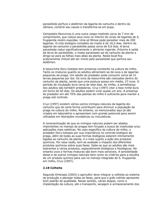 parasitóide perfura o abdômen da lagarta-do-cartucho e dentro da
câmara, constrói seu casulo e transforma-se em pupa.
Campoletis flavicincta é uma outra vespa medindo cerca de 7 mm de
comprimento, que coloca seus ovos no interior do corpo de lagartas de S.
frugiperda recém-nascidas. Uma só fêmea pode parasitar mais de 200
lagartas. O ciclo biológico completo do inseto é de 16,5 dias. Dentro da
lagarta-do-cartucho o parasitóide passa cerca de 9,6 dias. A larva
parasitada reduz significativamente o alimento ingerido. Próximo à saída
da larva do parasitóide, o inseto parasitado sai do cartucho da planta e
dirige-se para as folhas mais altas da planta. Neste local fica
praticamente imóvel até ser morto pelo parasitóide que perfura seu
abdômen.
A tesourinha Doru luteipes tem presença constante na cultura de milho.
Tanto os imaturos quanto os adultos alimentam-se de ovos e de lagartas
pequenas da praga. Um adulto do predador pode consumir cerca de 21
larvas pequenas por dia. Os ovos da tesourinha são colocados dentro do
cartucho da planta, sendo que uma postura possui em média, 27 ovos. O
período de incubação dura cerca de sete dias. As ninfas, a semelhança
dos adultos são também predadoras. Cruz (1997) citar a fase ninfal dura
em torno de 40 dias. Os adultos podem viver quase um ano. A presença
do predador em até 70% das plantas de milho é suficiente para manter a
praga sob controle.
Cruz (1997) existem vários outros inimigos naturais da lagarta-docartucho que de certa forma contribuem para diminuir a população da
praga na cultura do milho. No entanto, os mencionados aqui já são
criados em laboratório e apresentam com grande potencial para serem
utilizados em liberações inundativas ou inoculativas.
A conscientização de que os inimigos naturais podem ser aliados
importantes no manejo de pragas tem forçado a busca de inseticidas e/ou
aplicações mais seletivas. No caso específico da cultura de milho, o
predador Doru luteipes por sua importância no controle biológico da
praga, além de todas as suas formas biológicas estarem intimamente
ligadas ao cartucho da planta, é o mais sujeito a ação dos produtos
químicos. Por essa razão, tem-se avaliado o impacto dos diferentes
produtos químicos sobre suas fases. Sabe-se que os adultos são mais
tolerantes a vários produtos, especialmente biológicos e fisiológicos. No
entanto ovos e formas imaturas são bem mais sensíveis. A sensibilidade
desse e de outros inimigos naturais bem como os critérios para a escolha
de um produto químico para uso no manejo integrado de S. frugiperda
em milho, Cruz (1997).
2.18 Colheita
Segundo Embrapa (2003) o agricultor deve integrar a colheita ao sistema
de produção e planejar todas as fases, para que o grão colhido apresente
bom padrão de qualidade. Nesse sentido, várias etapas, como a
implantação da cultura, até o transporte, secagem e armazenamento dos

 