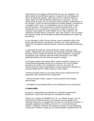 melhoramento. As espigas colhidas serão por sua vez, julgadas, e as
selecionadas serão plantadas segundo o esquema de uma espiga por
fileira. Na Segunda geração, selecionar-se-ão as melhores fileiras e
dentro delas, as melhores plantas repetindo-se o processo. Há uma
rápida perda de vigor com as primeiras autofecundações, estabilzando-se
em seguida, a partir da sétima geração por autofecundação, considera-se
a linhagem como "pura" ou homozigótica, de um modo geral o vigor
período durante o endocruzamento ou autofecundação tende a ser
recuperado com o cruzamento. Cruzando-se, então, as plantas que
atingiram esse estádio de uniformidade, há um vigor repentino nos
indivíduos nascidos desse cruzamento. Esse vigor híbrido a que se chama
de heterose resulta da combinação de fatores hereditários em estado de
dominância.
Ao ser plantado o milho híbrido diversas vezes a produção volta a cair,
porque aqueles fatores que estavam reunidos num único indivíduo se
dispersam começando a aparecer genes recessivos indesejáveis (Menezes
1959).
A verificação da heterose, conforme Borém (1999) citado por Goes
(2002), apresentada nos programas de hibridação dos (EUA) associada a
genética, levaria criação do conceito de grupos heteróticos, ou seja de
populações cujos materiais deles derivados apresentam, em média,
significativamente nível de heterose quando cruzados.
As linhagens podem apresentar falhas, sendo necessário introduzir as
características desejadas através do cruzamento com uma linhagem
portadora do caráter a ser transferido e inicia-se uma série de
retrocruzamento. Essas características muitas vezes foram perdidas na
autofecundação Borém (1999) citado por Goes (2002).
Conforme Russell (1981), as principais fontes para melhoramento de
populações são, provavelmente as seguintes:
- Híbridos simples, triplos, duplos e retrocruzamento de linhagens
selecionadas.
- Variedades de polinização aberta, tanto adaptadas como introduzidas.
5 CONCLUSÃO
No geral a produtividade dos híbridos em condições experimental
produziram acima dos cultivados em condições de campo.
Utilizou-se o híbrido da PIONNER 30 k 75 , um híbrido simple, com um
stand final de 55000 sementes. (as sementes foram tratadas com o
inseticida thiodicarb na dosagem de 2.0 litros por 100 kg de sementes). A
adubação utilizada foi de 450 kg de 8:24:12 + micronutrientes por
hectare e 300kg de 30:00:20 em cobertura dividida em duas aplicações
(150kg com 6 folhas e 150kg com 12 folhas),adubos utilizados foram da

 