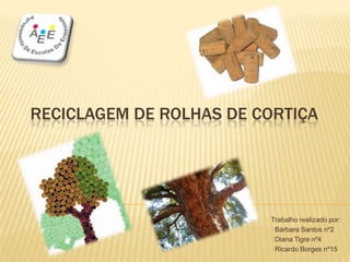 RECICLAGEM DE ROLHAS DE CORTIÇA
Trabalho realizado por:
Bárbara Santos nº2
Diana Tigre nº4
Ricardo Borges nº15
 