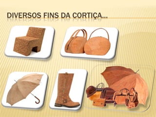 DIVERSOS FINS DA CORTIÇA…
 