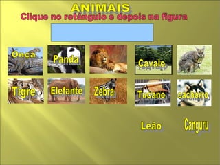 ANIMAIS  Zebra Leão Cavalo  cachorro  Panda Tucano  Elefante  Canguru  Onça Tigre  