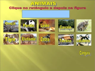 ANIMAIS  Zebra Leão Cavalo  cachorro  Panda Tucano  Elefante  Canguru  Onça Tigre  