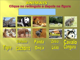 ANIMAIS  Zebra Leão Cavalo  cachorro  Panda Tucano  Elefante  Canguru  Onça Tigre  