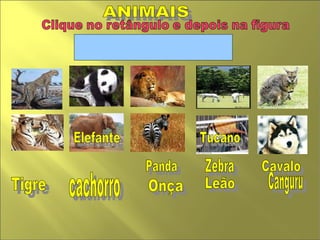 ANIMAIS  Zebra Leão Cavalo  cachorro  Panda Tucano  Elefante  Canguru  Onça Tigre  