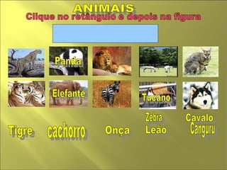ANIMAIS  Zebra Leão Cavalo  cachorro  Panda Tucano  Elefante  Canguru  Onça Tigre  