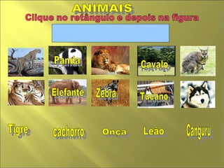 ANIMAIS  Zebra Leão Cavalo  cachorro  Panda Tucano  Elefante  Canguru  Onça Tigre  