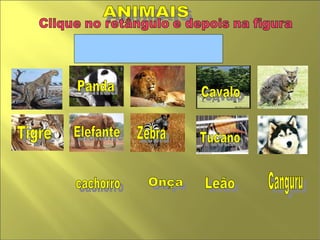ANIMAIS  Zebra Leão Cavalo  cachorro  Panda Tucano  Elefante  Canguru  Onça Tigre  