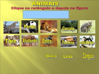 ANIMAIS  Zebra Leão Cavalo  cachorro  Panda Tucano  Elefante  Canguru  Onça Tigre  