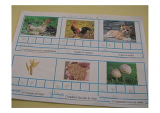 Trabalhos dos alunos