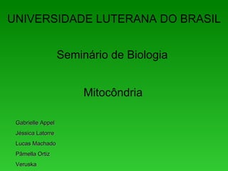 UNIVERSIDADE LUTERANA DO BRASIL


                   Seminário de Biologia


                        Mitocôndria

 Gabrielle Appel
 Jéssica Latorre
 Lucas Machado
 Pâmella Ortiz
 Veruska
 