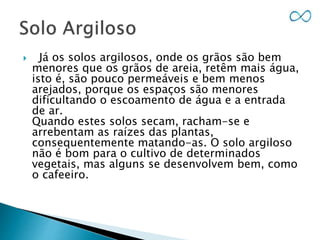 Já os solos argilosos, onde os grãos são bem
menores que os grãos de areia, retêm mais água,
isto é, são pouco permeáveis e bem menos
arejados, porque os espaços são menores
dificultando o escoamento de água e a entrada
de ar.
Quando estes solos secam, racham-se e
arrebentam as raízes das plantas,
consequentemente matando-as. O solo argiloso
não é bom para o cultivo de determinados
vegetais, mas alguns se desenvolvem bem, como
o cafeeiro.
 