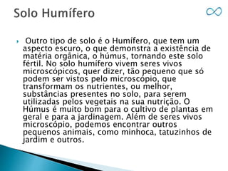  Outro tipo de solo é o Humífero, que tem um
aspecto escuro, o que demonstra a existência de
matéria orgânica, o húmus, tornando este solo
fértil. No solo humífero vivem seres vivos
microscópicos, quer dizer, tão pequeno que só
podem ser vistos pelo microscópio, que
transformam os nutrientes, ou melhor,
substâncias presentes no solo, para serem
utilizadas pelos vegetais na sua nutrição. O
Húmus é muito bom para o cultivo de plantas em
geral e para a jardinagem. Além de seres vivos
microscópio, podemos encontrar outros
pequenos animais, como minhoca, tatuzinhos de
jardim e outros.
 