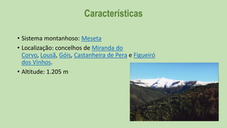 Características
• Sistema montanhoso: Meseta
• Localização: concelhos de Miranda do
Corvo, Lousã, Góis, Castanheira de Pera e Figueiró
dos Vinhos.
• Altitude: 1.205 m

 