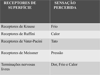 Reseptor Pacini Ruffini Trabalho sistema sensorial | PPTX