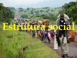 Estrutura social
 