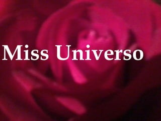 Miss Universo
 