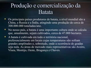 Os principais países produtores de batata, a nível mundial são a
China, a Russia e a Índia, atingindo uma produção de cerca de
300.000.000 toneladas/ano.
No nosso país, a batata é uma importante cultura onde se calcula
que, anualmente, sejam cultivados, cerca de 47.000 hectares.
A batata é cultivada em todo o território nacional,
preferencialmente em locais cujas temperaturas não sofram
grandes amplitudes e, sobretudo, onde a ocorrência de geadas
seja nula. As áreas de mercado mais representativas são Aveiro,
Viseu, Montijo, Oeste, Bragança e Chaves.
 