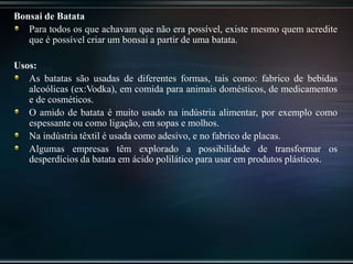 Bonsai de Batata
Para todos os que achavam que não era possível, existe mesmo quem acredite
que é possível criar um bonsai a partir de uma batata.
Usos:
As batatas são usadas de diferentes formas, tais como: fabrico de bebidas
alcoólicas (ex:Vodka), em comida para animais domésticos, de medicamentos
e de cosméticos.
O amido de batata é muito usado na indústria alimentar, por exemplo como
espessante ou como ligação, em sopas e molhos.
Na indústria têxtil é usada como adesivo, e no fabrico de placas.
Algumas empresas têm explorado a possibilidade de transformar os
desperdícios da batata em ácido polilático para usar em produtos plásticos.
 