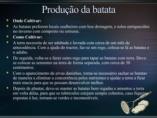 Onde Cultivar:
As batatas preferem locais soalheiros com boa drenagem, e solos enriquecidos
no inverno com composto ou estrume.
Como Cultivar:
A terra necessita de ser adubada e lavrada com cerca de um mês de
antecedência. Com a ajuda do tractor, faz-se um rego, coloca-se lá as batatas e
o adubo.
De seguida, volta-se a fazer outro rego para tapar as batatas com terra. Deve-
se colocar as sementes na terra de forma separada, com cerca de 30
centímetros.
Com o aparecimento de ervas daninhas, torna-se necessário sachar as batatas
de maneira a eliminar a concorrência pelos nutrientes e ajudar a terra a ficar
mais macia para que se possam desenvolver melhor.
Depois de plantar, deve-se manter as batatas bem regadas e amontoe a terra
em volta delas, para que os tubérculos estejam sempre cobertos, caso fiquem
expostas à luz, tornam-se verdes e incomestíveis.
 