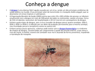 Conheça a dengue
 