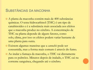 SUBSTÂNCIAS DA MACONHA

 A planta da maconha contém mais de 400 substâncias
  químicas. O tetra-hidrocarbinol (THC) é um tipo de
  canabinoides e é a substância mais associada aos efeitos
  que a maconha produz no cérebro. A concentração de
  THC na planta depende de alguns fatores, como
  solo, clima, por isso os efeitos podem variar bastante de
  uma planta para outra.
 Existem algumas maneiras que a cannabis pode ser
  consumida, mas a forma mais comum é através do fumo.
 Ao inalar a fumaça da maconha, o THC vai diretamente
  para os pulmões. Minutos depois de inalado, o THC cai na
  corrente sanguínea, chegando até o cérebro.
 