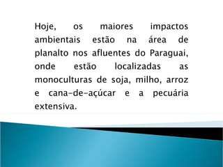 Hoje, os maiores impactos ambientais estão na área de planalto nos afluentes do Paraguai, onde estão localizadas as monoculturas de soja, milho, arroz e cana-de-açúcar e a pecuária extensiva. 