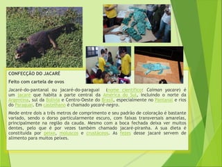 CONFECÇÃO DO JACARÉ 
Feito com cartela de ovos 
Jacaré-do-pantanal ou jacaré-do-paraguai (nome científico: Caiman yacare) é 
um jacaré que habita a parte central da América do Sul, incluindo o norte da 
Argentina, sul da Bolívia e Centro-Oeste do Brasil, especialmente no Pantanal e rios 
do Paraguai. Em castelhano é chamado yacaré-negro. 
Mede entre dois a três metros de comprimento e seu padrão de coloração é bastante 
variado, sendo o dorso particularmente escuro, com faixas transversais amarelas, 
principalmente na região da cauda. Mesmo com a boca fechada deixa ver muitos 
dentes, pelo que é por vezes também chamado jacaré-piranha. A sua dieta é 
constituída por peixe, moluscos e crustáceos. As fezes desse jacaré servem de 
alimento para muitos peixes. 
 