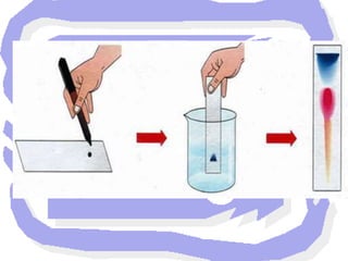 CROMATOGRAFIA GASOSAFornece um meio rápido e fácil para: a)     determinar o número de componentes em uma mistura;b)      a presença de impurezas em uma substância;c)       esclarecer sobre a identidade de um composto;