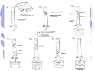 CROMATOGRAFIA EM PAPELÉ uma alternativa da técnica de cromatografia em coluna, utilizando uma folha ou tira de papel adsorvente. Utiliza-se o papel de filtro de celulose, por ser altamente hidrófilo, mantendo um revestimento de água imperceptível.