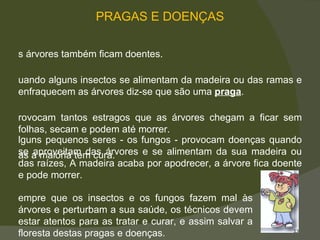 PRAGAS E DOENÇAS Alguns pequenos seres - os fungos - provocam doenças quando se aproveitam das árvores e se alimentam da sua madeira ou das raízes, A madeira acaba por apodrecer, a árvore fica doente e pode morrer.  As árvores também ficam doentes.  Quando alguns insectos se alimentam da madeira ou das ramas e enfraquecem as árvores diz-se que são uma  praga .  Provocam tantos estragos que as árvores chegam a ficar sem folhas, secam e podem até morrer.  Mas a maioria tem cura.  Sempre que os insectos e os fungos fazem mal às árvores e perturbam a sua saúde, os técnicos devem estar atentos para as tratar e curar, e assim salvar a floresta destas pragas e doenças.  