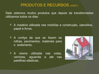A  madeira  utilizada nas mobílias e construção, utensílios, papel e livros.  Dela  obtemos muitos  produtos que depois de transformados utilizamos todos os dias:  A  cortiça  de que se  fazem  as rolhas, pavimentos, materiais para o  isolamento. A  resina  utilizada nas  colas , vernizes, aguarrás e até nas pastilhas elásticas. PRODUTOS E RECURSOS  (CONT.) 