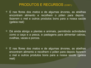Dá ainda abrigo a plantas e animais, permitindo actividades  como  a caça e a pesca, e pastagens para alimentar cabras, ovelhas, vacas e porcos.   E nas flores dos  matos  e de algumas árvores, as abelhas encontram alimento e recolhem o pólen para depois  fazerem  o mel e outros produtos bons para a nossa saúde (geleia real)  E nas flores dos  matos  e de algumas árvores, as abelhas encontram alimento e recolhem o pólen para depois  fazerem  o mel e outros produtos bons para a nossa saúde (geleia real)  PRODUTOS E RECURSOS  (CONT.) 