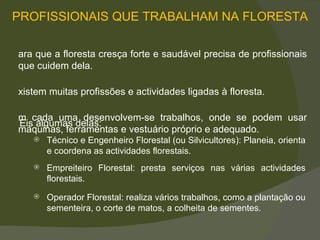 PROFISSIONAIS QUE TRABALHAM NA FLORESTA Eis algumas delas:  Para que a floresta cresça forte e saudável precisa de profissionais que cuidem dela.  Existem muitas profissões e actividades ligadas à floresta.  Em cada uma desenvolvem-se trabalhos, onde se podem usar máquinas, ferramentas e vestuário próprio e adequado. Técnico e Engenheiro Florestal (ou Silvicultores): Planeia, orienta e  coordena   as actividades florestais.  Empreiteiro Florestal: presta serviços nas várias actividades florestais.  Operador Florestal: realiza vários trabalhos, como a plantação ou sementeira, o  corte de matos, a colheita  de sementes.  
