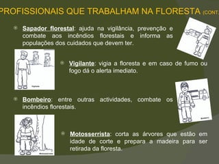 Vigilante : vigia a floresta e em caso de fumo ou fogo dá o alerta imediato.  Bombeiro : entre outras actividades, combate os incêndios florestais.  Sapador florestal : ajuda na vigilância, prevenção e combate aos incêndios florestais e informa as populações dos cuidados que devem ter.  Motosserrista : corta as árvores que estão em idade de corte e prepara a madeira para ser retirada da floresta.  PROFISSIONAIS QUE TRABALHAM NA FLORESTA  (CONT.) 