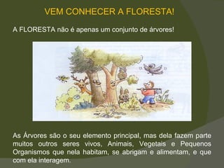 VEM CONHECER A FLORESTA! A FLORESTA não é apenas um conjunto de árvores! As Árvores são o seu elemento principal, mas dela fazem parte muitos outros seres vivos, Animais, Vegetais e Pequenos Organismos que nela habitam, se abrigam e alimentam, e que com ela interagem.  