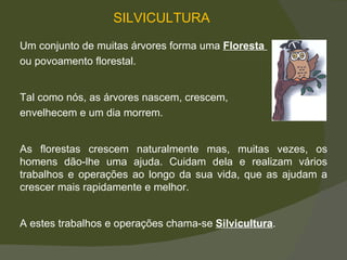 SILVICULTURA Um conjunto de muitas árvores forma uma  Floresta  ou povoamento florestal.  Tal como nós, as árvores nascem, crescem,  envelhecem e um dia morrem.  As florestas crescem naturalmente mas, muitas vezes, os homens dão-lhe uma ajuda. Cuidam dela e realizam vários trabalhos e operações ao longo da sua vida, que as ajudam a crescer mais rapidamente e melhor.  A estes trabalhos e operações chama-se  Silvicultura . 