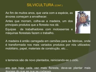Os terrenos são de novo plantados, reiniciando-se o ciclo.  Para que haja cada vez mais floresta, deve-se plantar mais árvores do que as que se cortaram.  Ao fim de muitos anos, que varia com a espécie, as árvores começam a envelhecer.  Antes que morram, colhe-se a madeira, um dos principais produtos que a floresta nos dá.  Equipas  de trabalhadores com motosserras e máquinas florestais fazem o trabalho.  SILVICULTURA  (CONT.) A madeira é então carregada em camiões para as fábricas, onde é transformada nos mais variados produtos por nós utilizados: mobiliário, papel, materiais de construção, etc… 