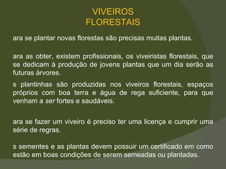 VIVEIROS FLORESTAIS As plantinhas são produzidas nos viveiros florestais, espaços próprios com boa terra e água de rega suficiente, para que venham a  ser  fortes e saudáveis.  Para se plantar novas florestas são precisas muitas plantas.   Para as obter, existem profissionais, os viveiristas florestais, que se dedicam à produção de jovens plantas que um dia serão as futuras árvores.  Para se fazer um viveiro é preciso ter uma licença e cumprir uma série de regras.  As sementes e as plantas devem possuir um certificado em como estão em boas condições de serem semeadas ou plantadas.  