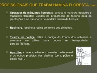 Resineiro . recolhe a resina do tronco dos pinheiros.  Operador de máquinas florestais : conduz e manobra tractores e máquinas florestais usadas na preparação do terreno para as plantações e no transporte de madeira dentro da floresta.  Tirador de cortiça : retira a cortiça do tronco dos sobreiros e arruma-a em pilhas para depois ser transportada  para as fábricas.  Apicultor : cria as abelhas em colmeias, colhe o mel e os outros produtos das abelhas (cera,  pólen   e geleia real) . PROFISSIONAIS QUE TRABALHAM NA FLORESTA  (CONT.) 