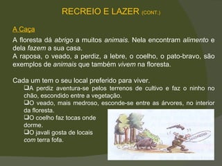 A Caça A floresta dá  abrigo  a muitos  animais.  Nela encontram  alimento  e dela  fazem  a sua casa.  A raposa, o veado, a perdiz, a lebre, o coelho, o pato-bravo, são exemplos de  animais  que também  vivem  na floresta.  Cada um tem o seu local preferido para viver.  A perdiz aventura-se pelos terrenos de cultivo e faz o ninho no chão, escondido entre a vegetação.  O veado, mais medroso, esconde-se entre as árvores, no interior da floresta.  O coelho faz tocas onde  dorme.  O javali gosta de locais  com  terra fofa.  RECREIO E LAZER  (CONT.) 