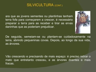 SILVICULTURA  (CONT.) De seguida, semeiam-se ou plantam-se cuidadosamente na terra, abrindo pequeninas covas. Depois, ao longo da sua vida, as árvores. Vão crescendo e precisando de mais espaço: é preciso retirar o mato que entretanto cresceu, e as árvores doentes e mais fracas.  Para que as jovens sementes ou plantinhas tenham terra fofa para começarem a crescer, é necessário preparar a terra para as receber e tirar as ervas daninhas que as poderiam prejudicar.  