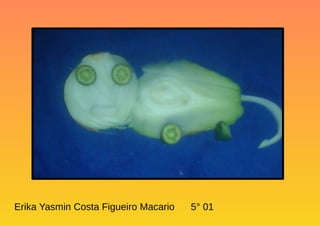 Erika Yasmin Costa Figueiro Macario 5° 01
 