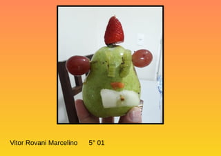 Vitor Rovani Marcelino 5° 01
 