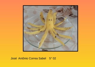 José Antônio Correa Sabel 5° 02
 