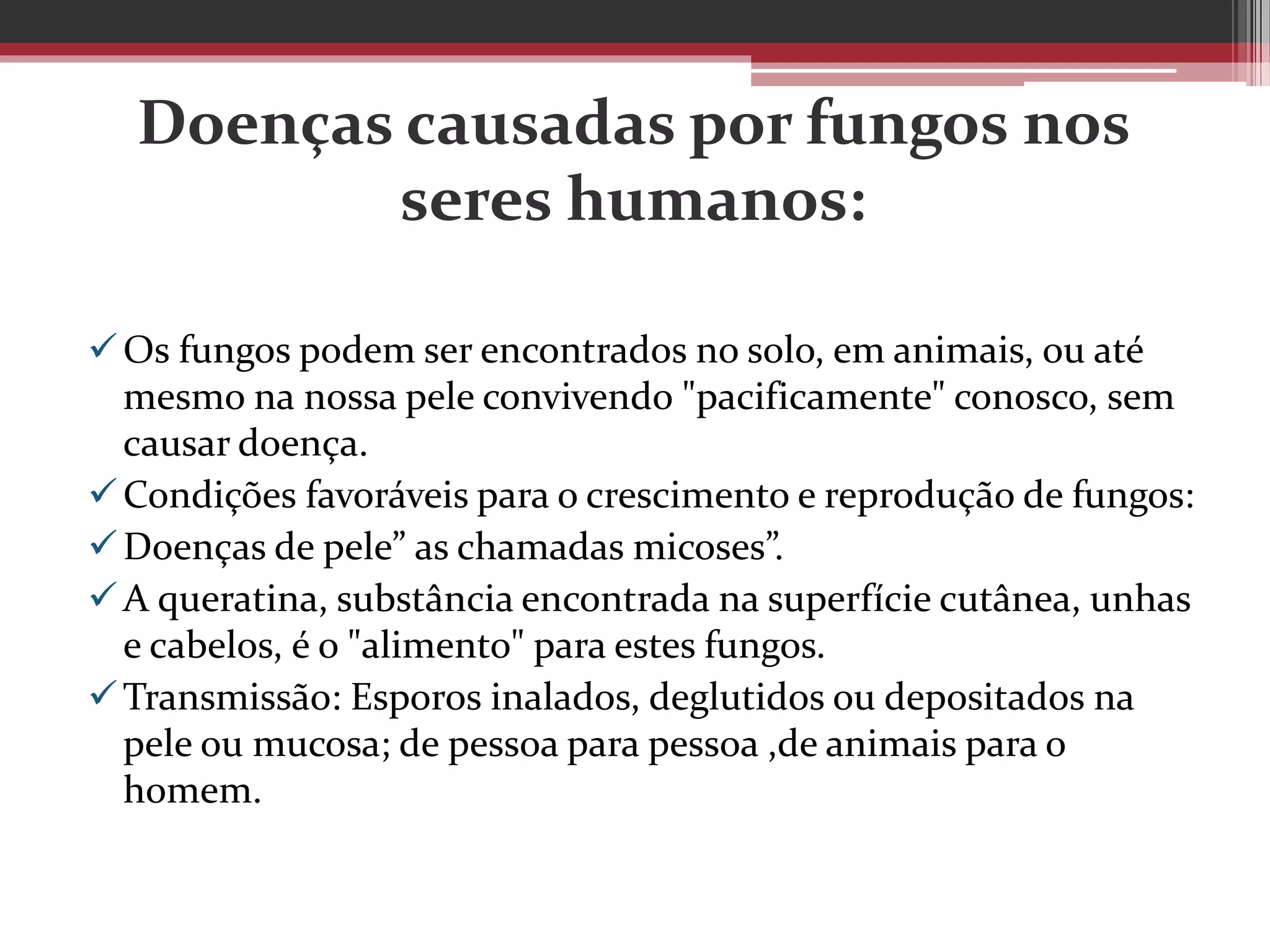 Doenças causadas por fungos nos
seres humanos:
Os fungos podem ser encontrados no solo, em animais, ou até
mesmo na nossa pele convivendo "pacificamente" conosco, sem
causar doença.
Condições favoráveis para o crescimento e reprodução de fungos:
Doenças de pele” as chamadas micoses”.
A queratina, substância encontrada na superfície cutânea, unhas
e cabelos, é o "alimento" para estes fungos.
Transmissão: Esporos inalados, deglutidos ou depositados na
pele ou mucosa; de pessoa para pessoa ,de animais para o
homem.
 