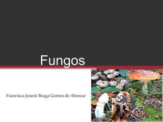 Fungos
Francisca Joseni Braga Gomes de Alencar
 